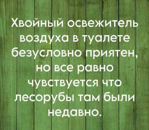 ХВОЙНЫЙ.jpg