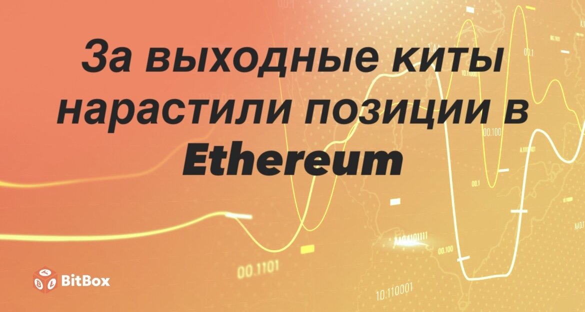 EC4601B6-DECB-40F9-AD3B-CDCD5FA3E1C5.jpeg