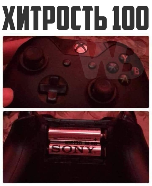 https:__pp.userapi.com_c846018_v846018841_f3c37_AcNzit0pnyk.jpg