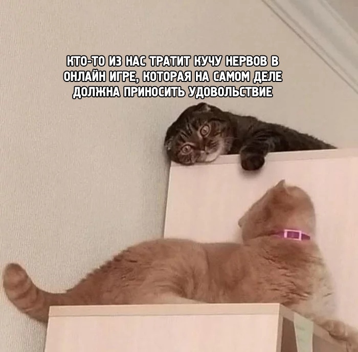 sun9-72.userapi.com_impg_h65c-eS6QAjebVJboyGAnZTfWtLTy67q2MfaAA_AggZzT5K3zg.jpg