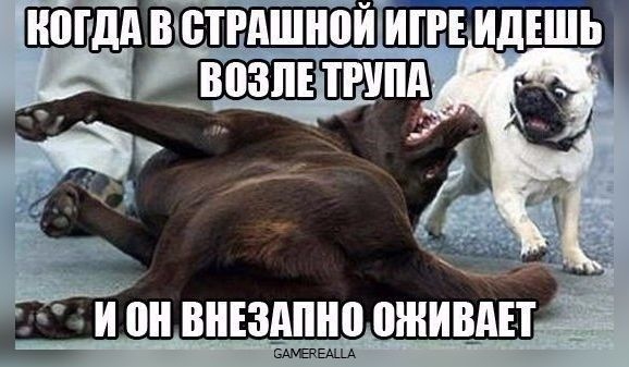 https:__sun6-4.userapi.com_c635107_v635107844_6bff_js_CFU-4lz0.jpg