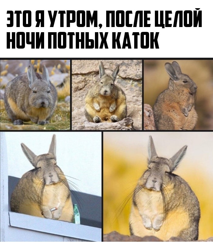 https:__sun9-36.userapi.com_impg_C9l3SYFgAJMdDob0ihJBSmR8_TmQ8fcqXrzk7A_RjH51aH9tHo.jpg
