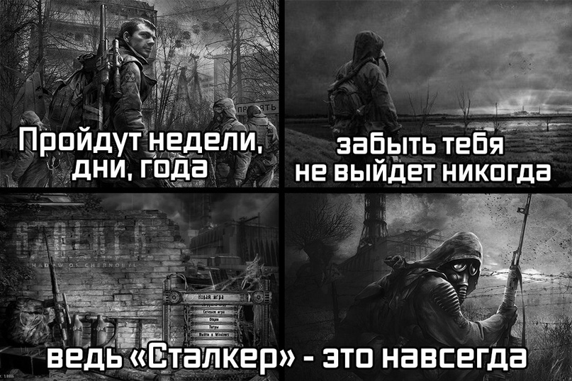 https:__sun9-53.userapi.com_lfu_QZPNIk3NbQqGO2E3jQJKMm8xvmvkPItOnw_qCX-bvZHzLE.jpg