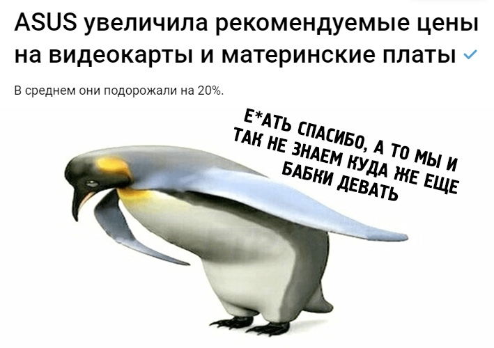 https:__sun9-48.userapi.com_impg_DmA1TXWRAUApfmBlOJ9rJRyDxgdgguf64bfetA_f3bTOFG3_3k.jpg