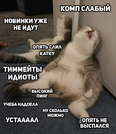 https:__sun6-1.userapi.com_c855420_v855420503_2c154_OKjqjcavoZ4.jpg