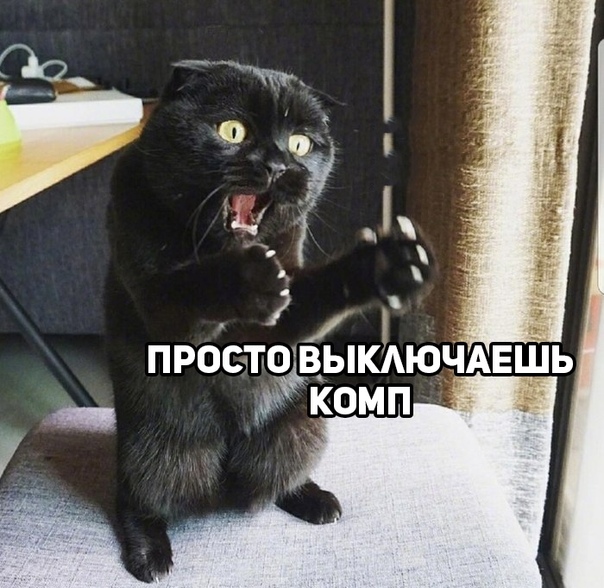 https:__pp.userapi.com_c849332_v849332410_ae6ae_U6d6iKkuZ88.jpg