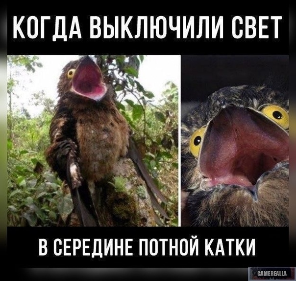 https:__sun6-3.userapi.com_c635107_v635107447_1224a_mw1ZyAVmNzw.jpg