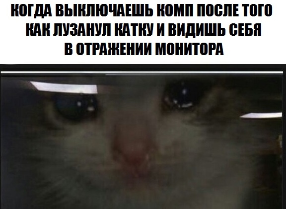 https:__sun6-3.userapi.com_c543106_v543106661_3d030_4ie_fMk56wQ.jpg