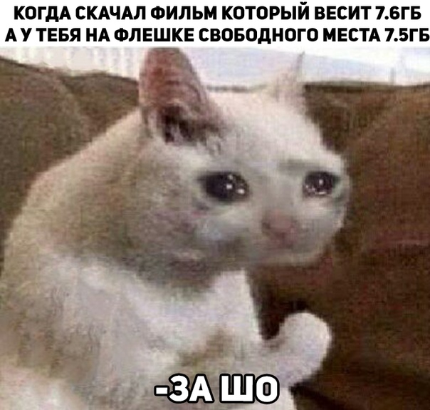 https:__pp.userapi.com_c849416_v849416674_7df25_86GIjp5VYp8.jpg