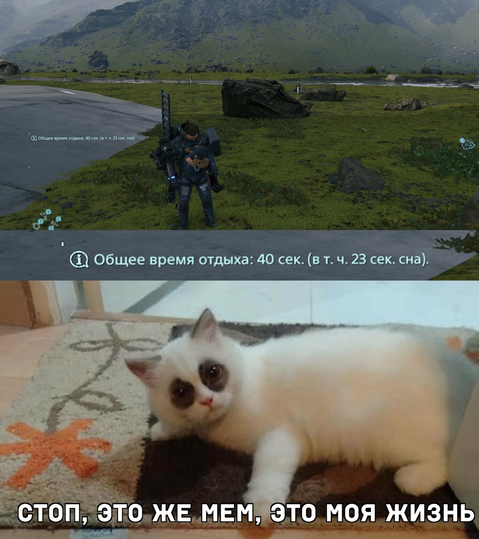 https:__sun9-3.userapi.com_impg_aiLLJmK0CSZMN2eSB9aox63QrouljL-_g8rbww_UacuVhgbWvw.jpg