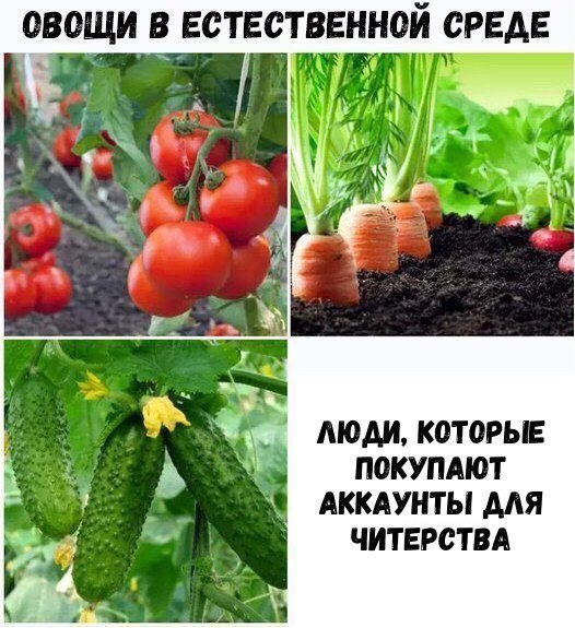 https:__pp.userapi.com_c543107_v543107123_40653_c6Pz7_iIOQY.jpg