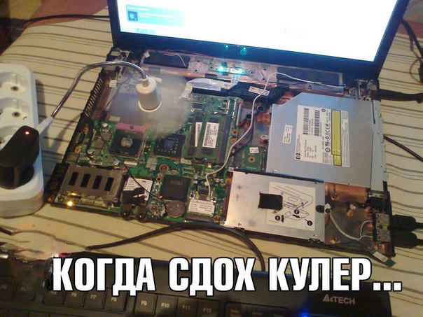 https:__pp.userapi.com_c543107_v543107486_31554_2UtVvcUt8Nw.jpg
