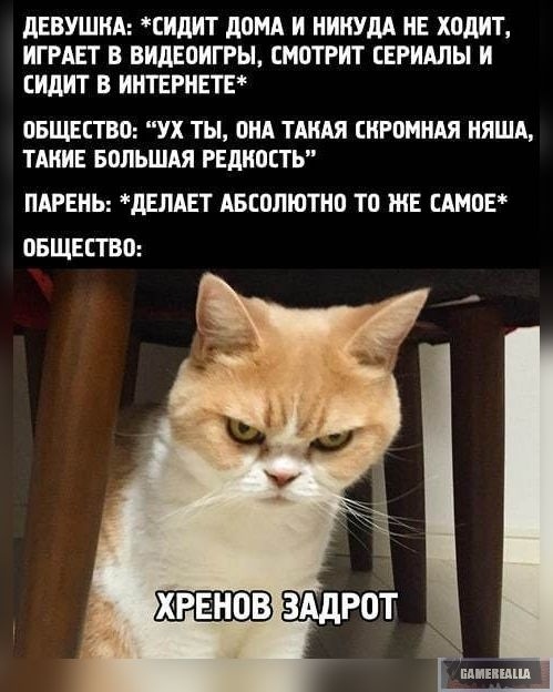 https:__sun9-39.userapi.com_95ZLFABKSTFTOu06GQbeV5BT78ZucRayv-BMhg_o7ixqLMdHGY.jpg