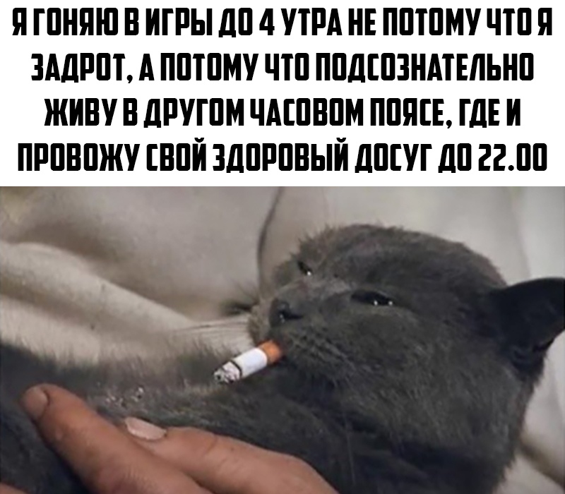 https:__sun9-73.userapi.com_impg_nwU9_xPvfivOmoI3Fb-3u2QCoWFxhIi7jyIT6A_0cr6QHpQUkA.jpg
