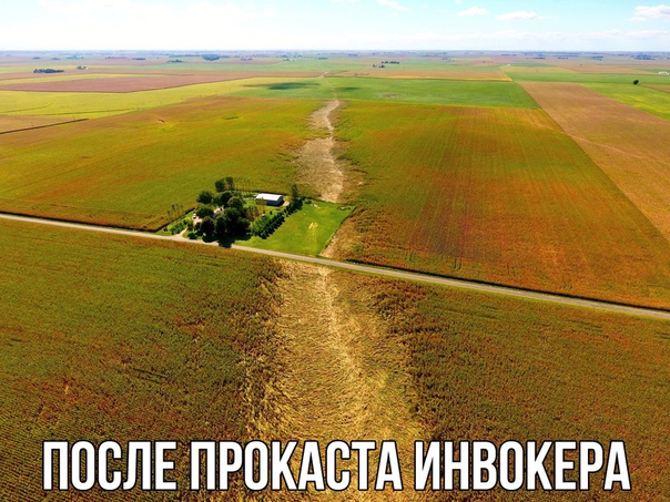 https:__sun9-6.userapi.com_c543106_v543106851_37c52_uxG0i9TT0Nw.jpg
