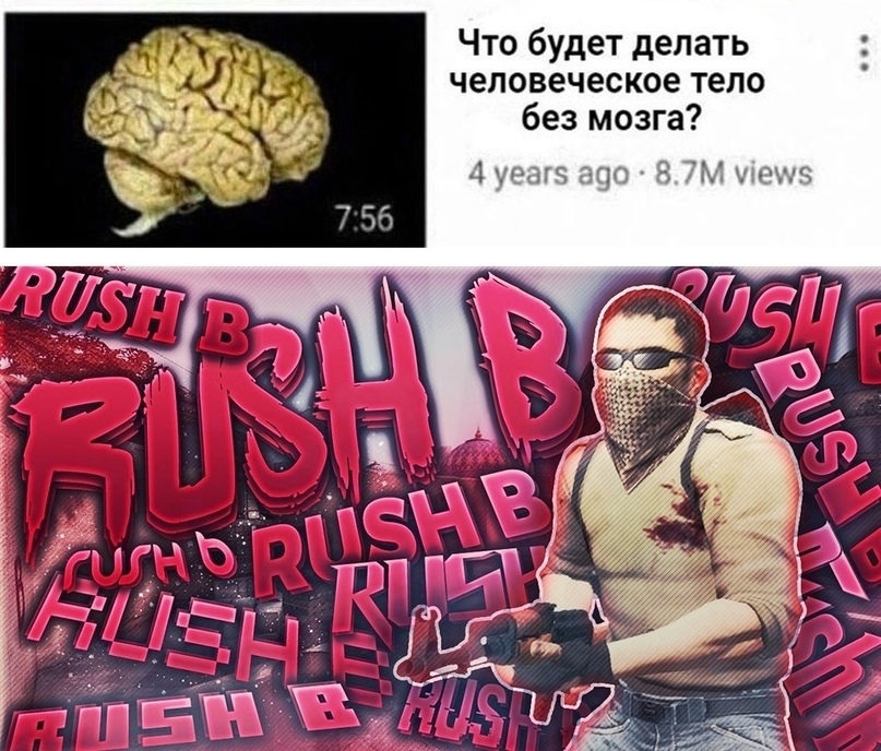 https:__sun1-99.userapi.com_ezpO4nfIWmRv8k77kIXDrnT9HpQG8AMAemrtXw_vmmNGxnywBk.jpg