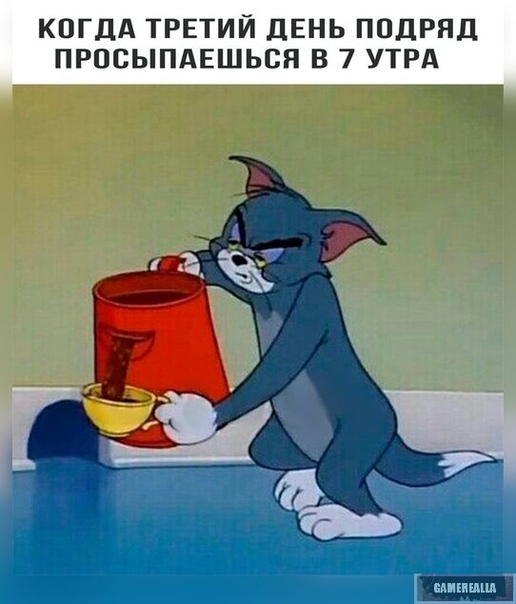 https:__sun6-5.userapi.com_c635107_v635107046_12d6a_gQfq3IG5Qks.jpg