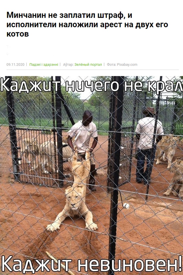https:__sun1-86.userapi.com_U1H2gBiP3cj2-Jbs-rWS5Lsae5DteE4V-TXUIA_UTYVikZ7fzw.jpg