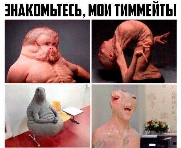 https:__sun1-22.userapi.com_lAIuEU6C59X0gwRpVRox89m5b13HXhrl3utyiA_su_KcbkF8CU.jpg
