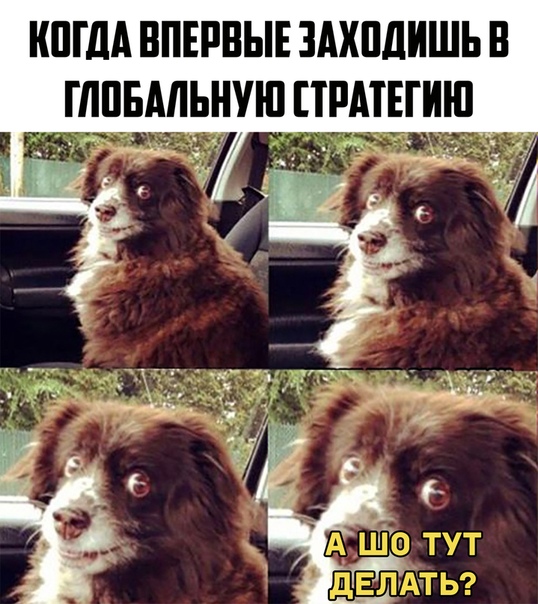 https:__sun6-4.userapi.com_c855016_v855016375_2ac33_aEFh6o9i1DQ.jpg