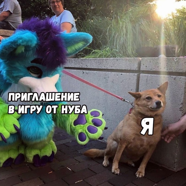 https:__sun6-6.userapi.com_c846416_v846416626_1926b0_Oex_4PEJ8A8.jpg