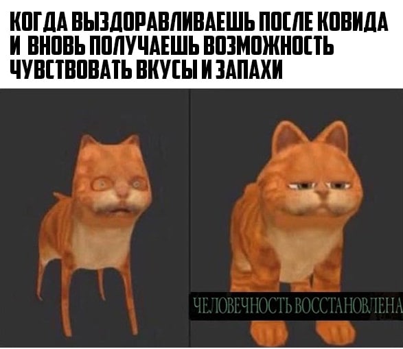 sun9-76.userapi.com_impg_nbfGcQBdd_42pN_-NHRcMIMdc8mU0CREqOisfg_RA7plmQjEDI.jpg