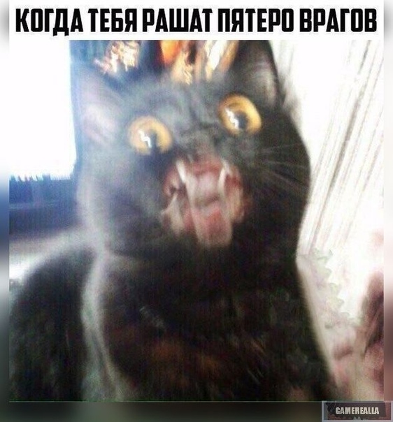 https:__sun6-5.userapi.com_c635107_v635107363_10515_Xx61ib76734.jpg