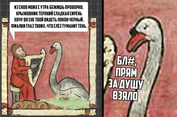 https:__pp.userapi.com_c845321_v845321174_13ee35_S8-yGvJzTcI.jpg