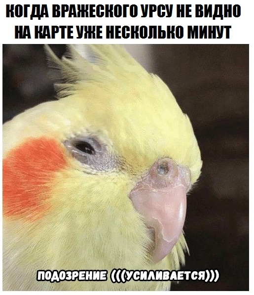 https:__sun9-4.userapi.com_c543106_v543106860_3917b_MSeQck5KTUE.jpg