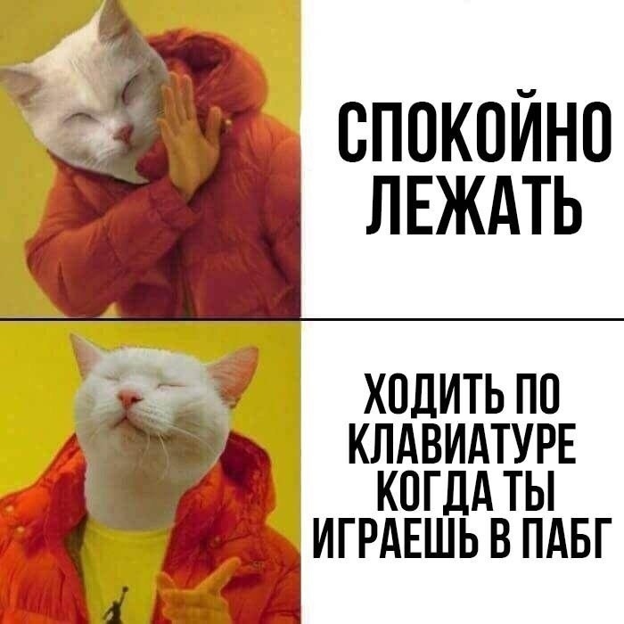 https:__sun1-16.userapi.com_Z6r01c4BZgmYEXXJRcv3oTjjoMB2PC-xusW_IA_bRz3tkKc_xY.jpg