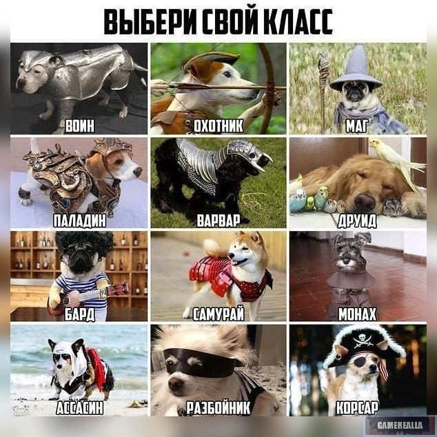 https:__sun9-24.userapi.com_LJ_uKQIJItrXoXE0wQcAm8l--9MJrkKkTuzT5g_sTaj01CwkQk.jpg