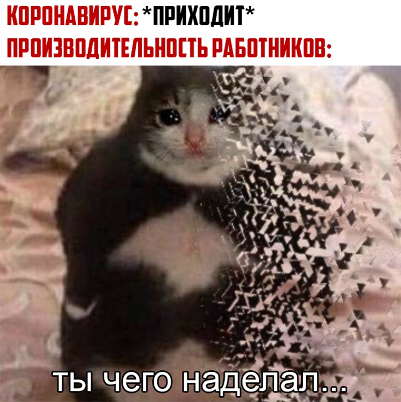 https:__sun9-59.userapi.com_C0GLhlSrsmQC4f2uua8GPoTApHPydJPTEk5aZw_oI-32I9-GZ8.jpg