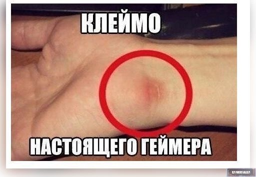 https:__sun6-6.userapi.com_c635107_v635107926_12219_HQ4VkxzodZY.jpg