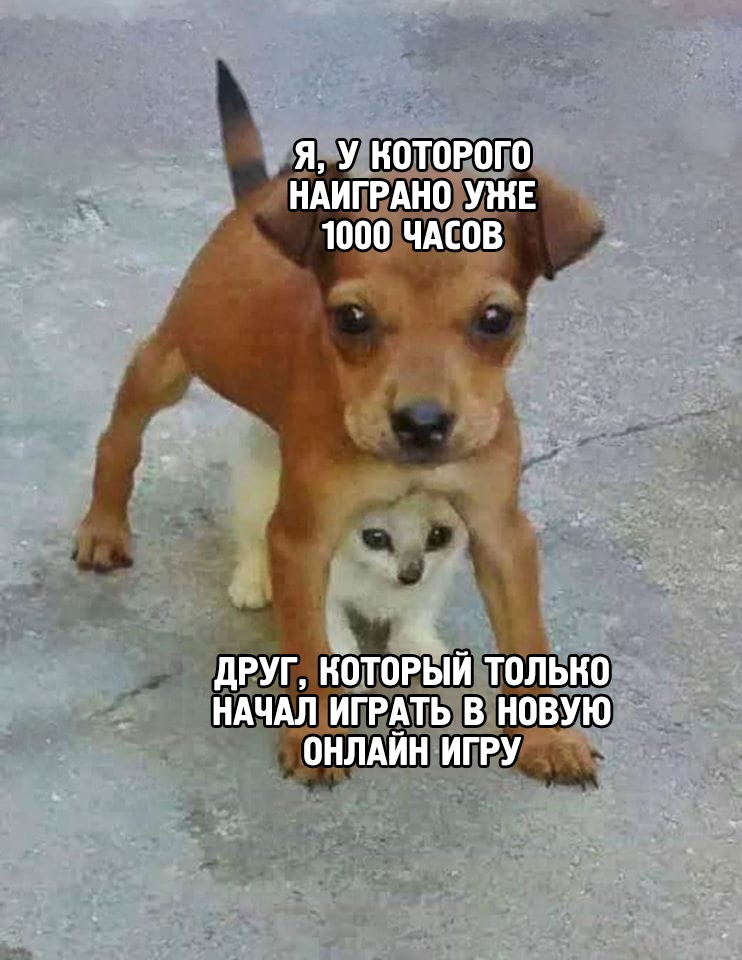 https:__sun1-86.userapi.com_CBnB9KXWR9KdPUQTCzeS_ycqefneFyod8H4uAQ_w9X0z_xMpA0.jpg