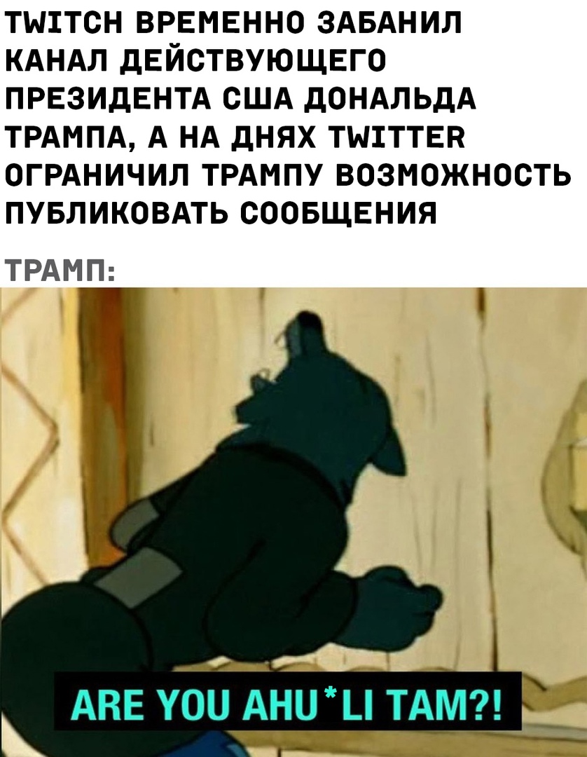 sun9-8.userapi.com_impg_1MLClORXpT_-LBXos0GFk3Pt777xwbEj-azq3A_HK6ZRcoM8OI.jpg