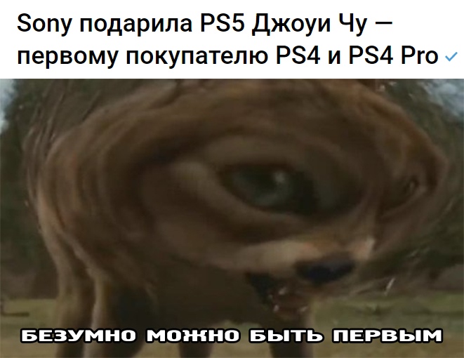 https:__sun1-26.userapi.com_v3IE01Y_QV015HpfRUpkpCSSnfa_89475XK3VQ_L3lBL8_pHX4.jpg