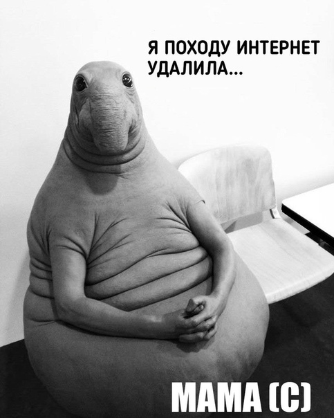 https:__sun6-4.userapi.com_c635107_v635107544_457d_SfUwS87k8Yw.jpg
