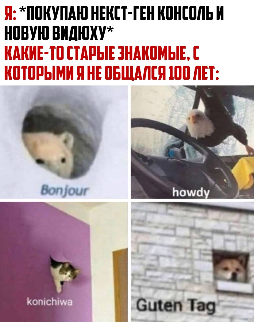 https:__sun9-7.userapi.com_iFtSiTmEvBCvZ37qezG9h3pgAh3GTppHMDysdw_H9NZHFph9g0.jpg