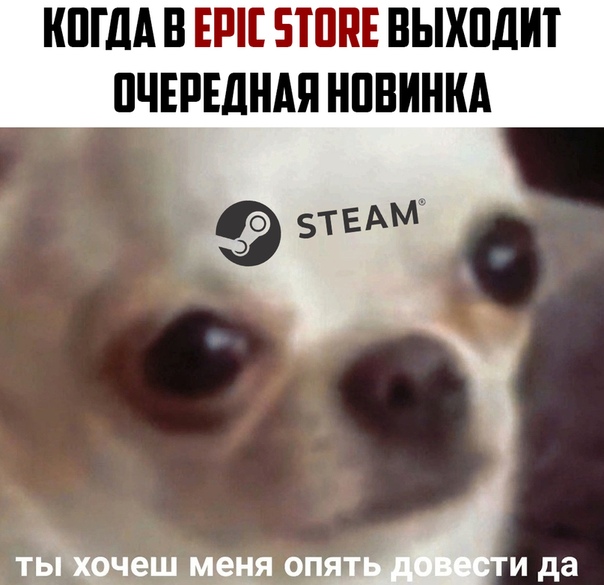 https:__sun6-4.userapi.com_c851024_v851024357_f1bf1_1UPu9Tib9Qk.jpg