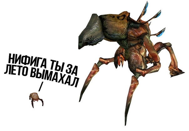 https:__pp.userapi.com_c848416_v848416575_5c64f_F8bu1Lg8DpQ.jpg