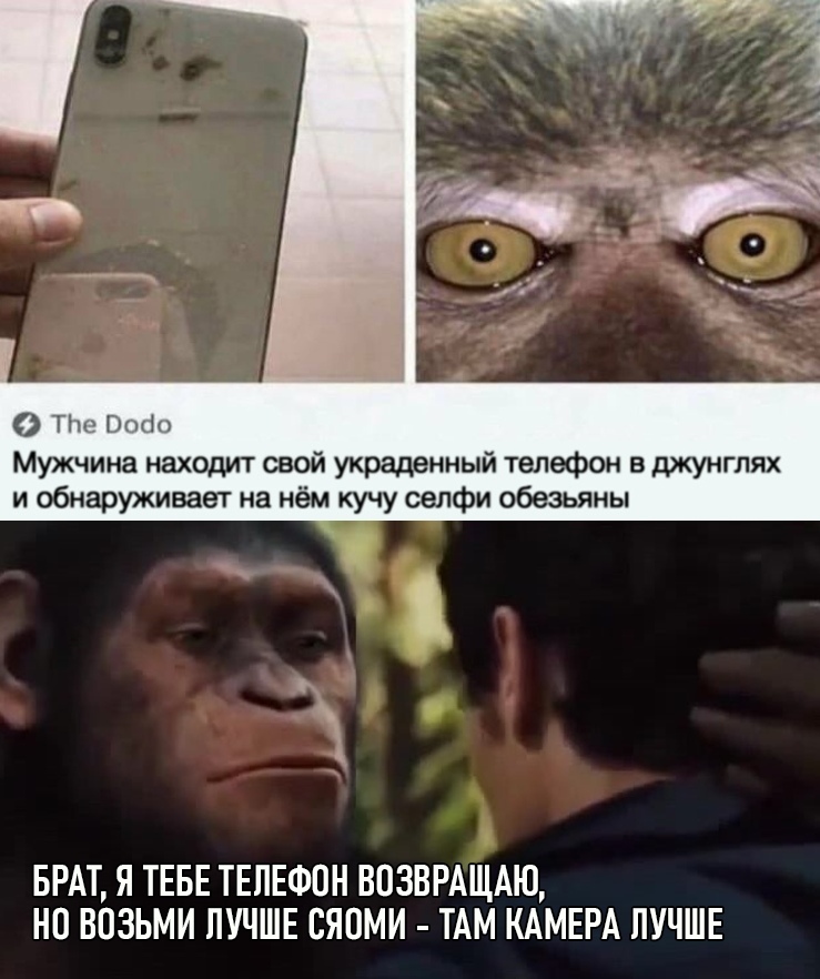 https:__sun1-30.userapi.com_YDisfROeLG7SfkrwsnLD00Td-tNTrAKHPxAAEw_Vfyxwa-Wb2k.jpg