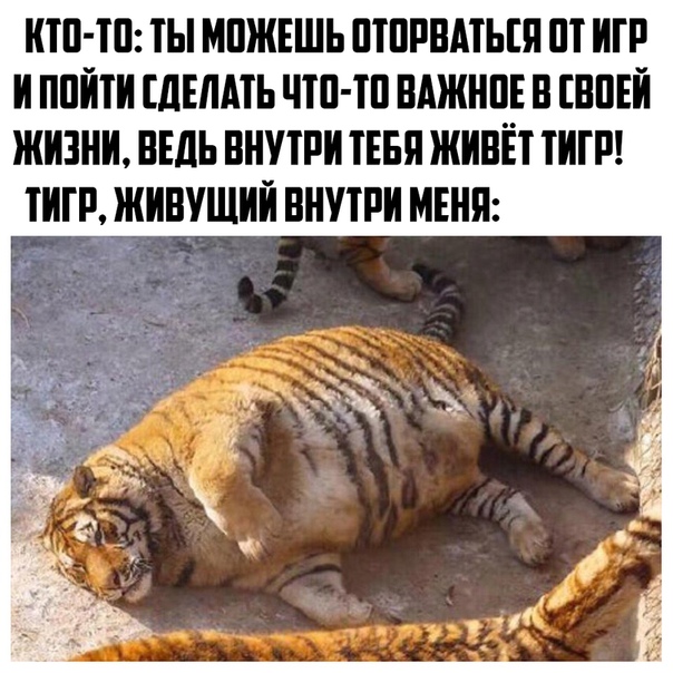 https:__sun6-4.userapi.com_c846018_v846018587_1da02b_PK0ub49dxgs.jpg