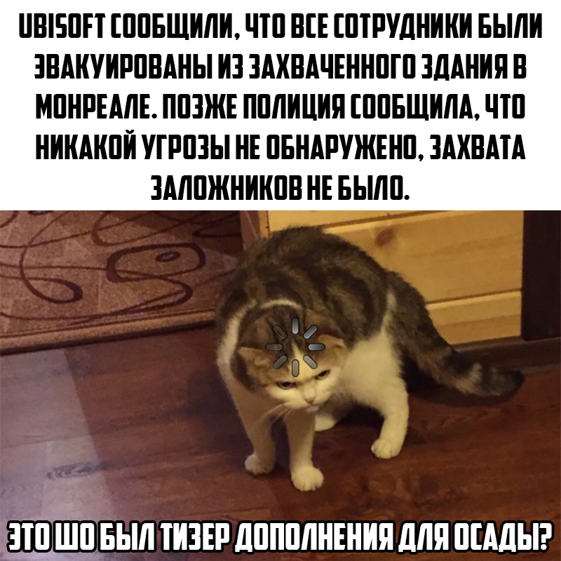https:__sun1-94.userapi.com_G5jfrJ03gY3-qKBkbCvPpWbxLYLUsUYLWx6owg_-c0Qys6DVdo.jpg