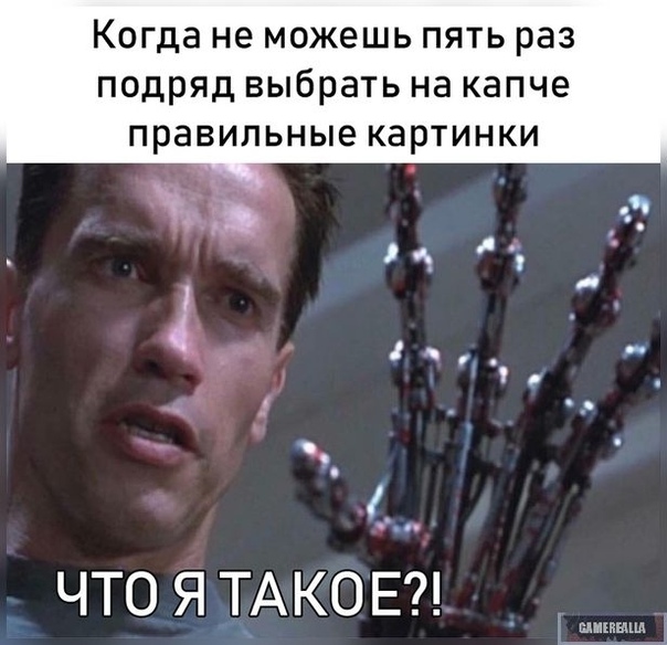 https:__sun6-2.userapi.com_c635107_v635107462_1103f_I7aWE6RnMa4.jpg