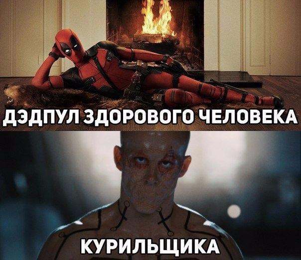 https:__sun6-4.userapi.com_c635102_v635102099_3b30f_gPz4lavffPE.jpg