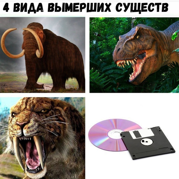 https:__sun6-6.userapi.com_c635102_v635102267_4917e__LmremxBAik.jpg