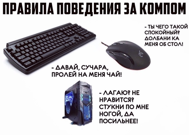 https:__sun6-5.userapi.com_c850128_v850128171_11dc14_W67kYUr1pzw.jpg