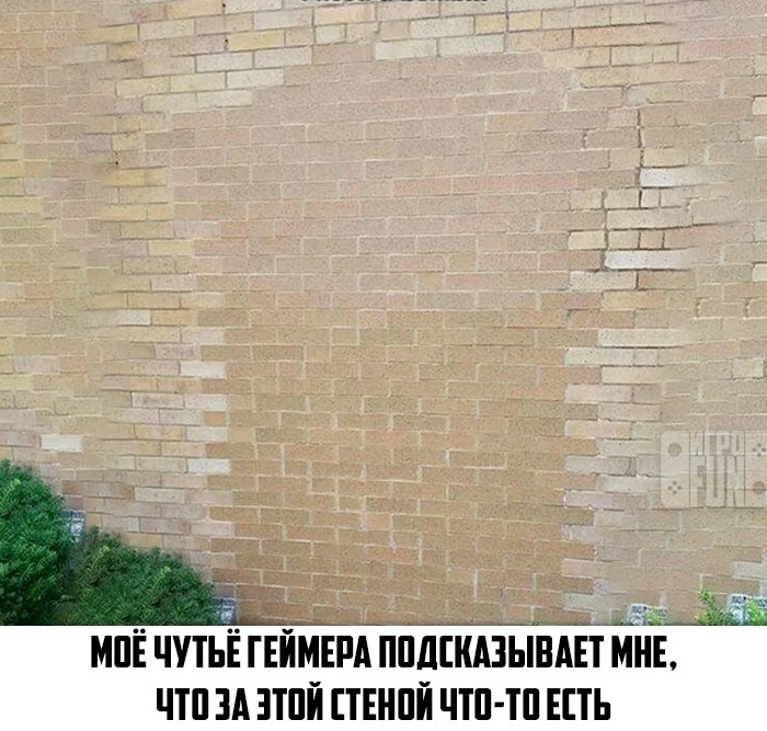 https:__sun1-18.userapi.com_kQxOa2g2fJQi283bpN8kPU1mF3HxBm868ZHHGQ_ti5jhKcPmvU.jpg