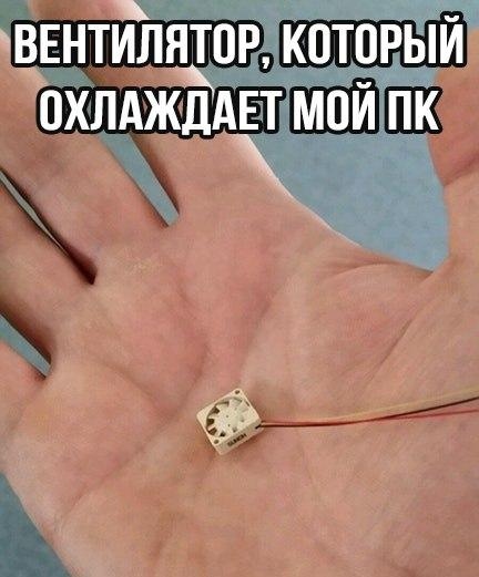 https:__sun6-5.userapi.com_c635102_v635102379_3c972_6dRM9_xNh8g.jpg