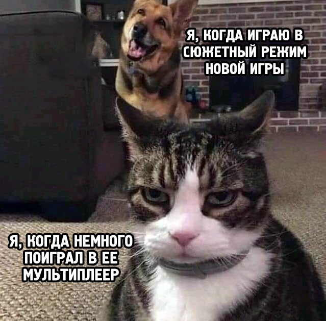 https:__sun9-5.userapi.com_impg_87IcN1WiONwZAaREqL8F9p-NAtf4IRUNy8IjBg_rh8rjJOh1Ds.jpg